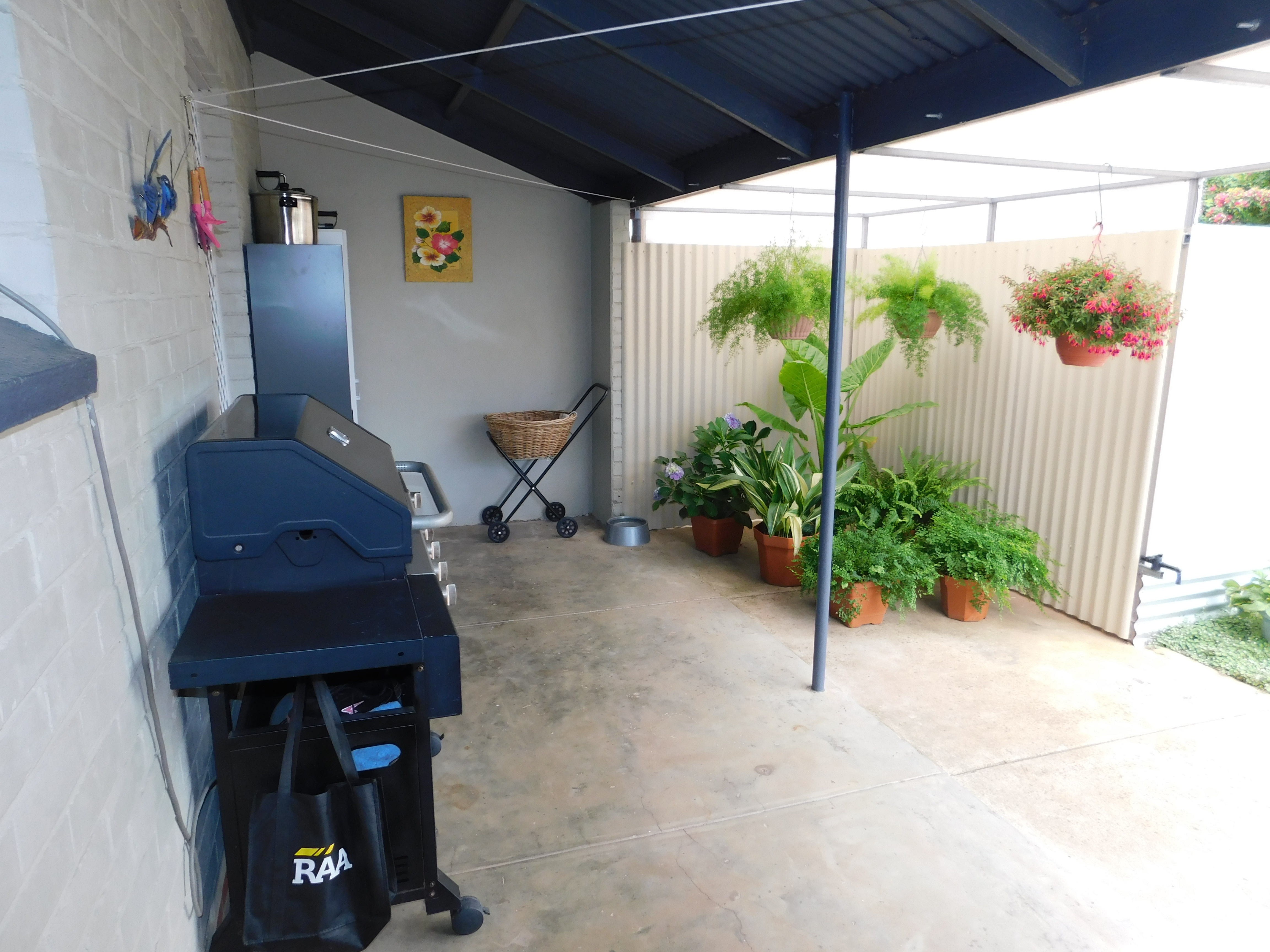 Real Estate in Port Pirie