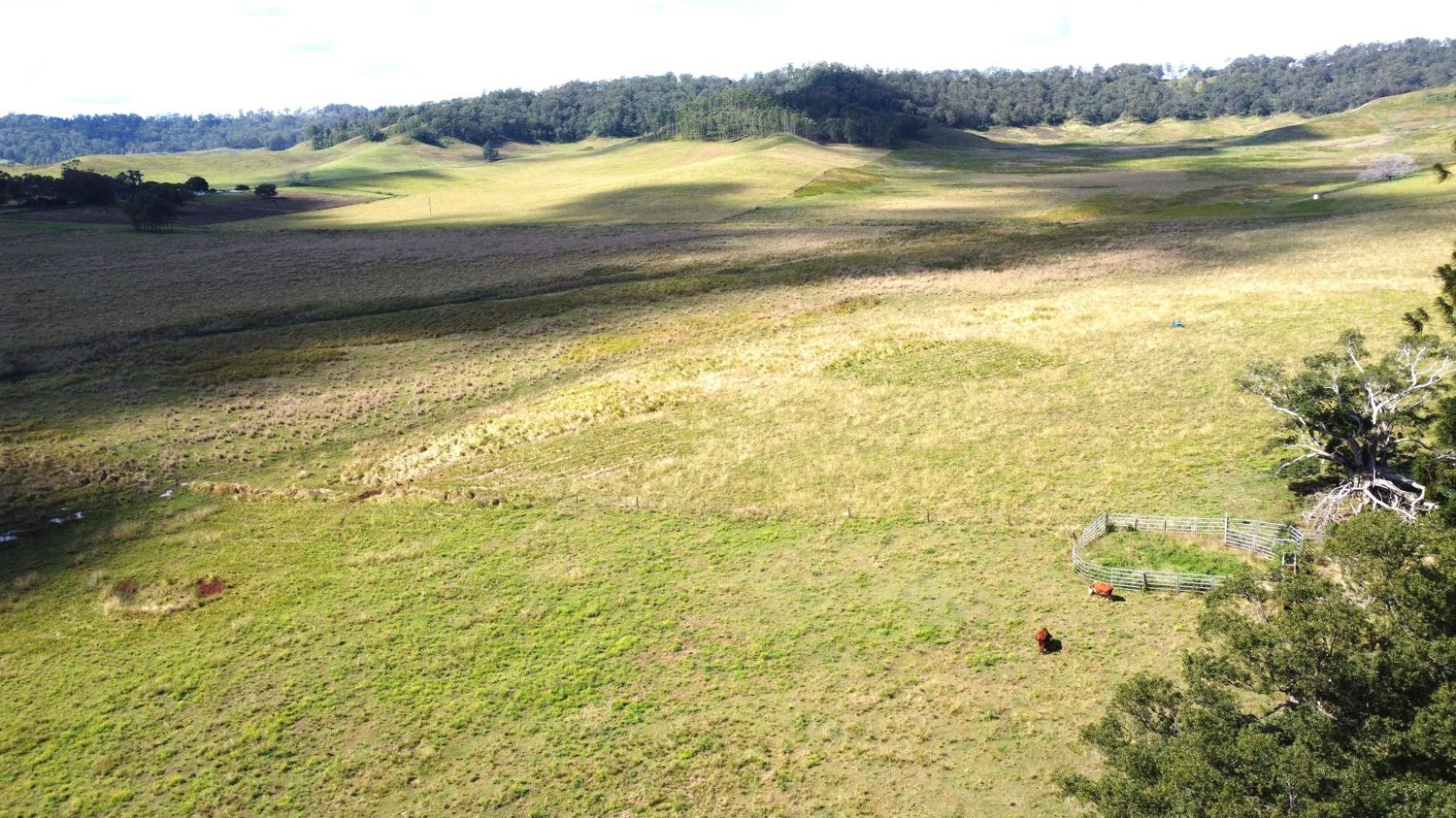 100 Backmede Road, Backmede NSW 2470