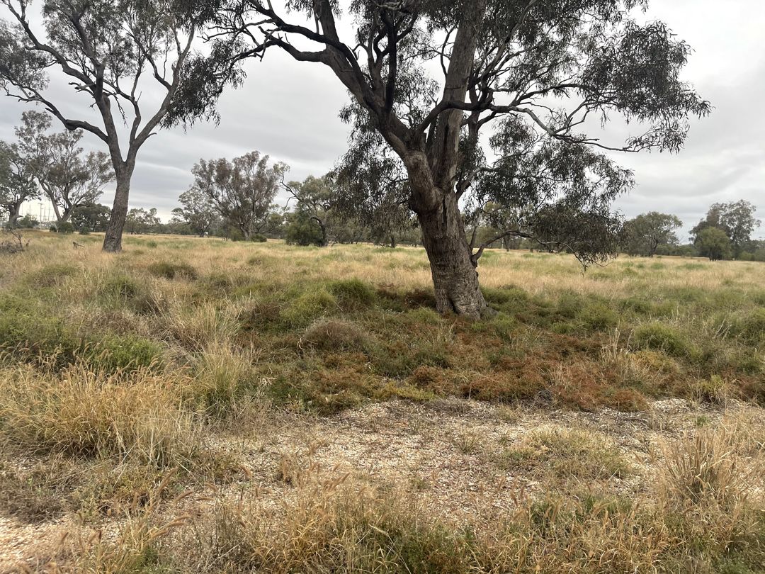 92 Castlereagh Hightway, Walgett > Moree Real Estate