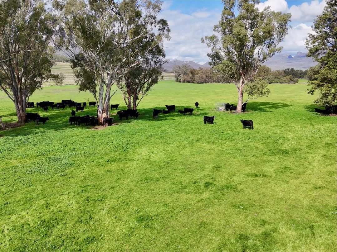 THE GLEN&sol;308 Allambie Road, Edgeroi NSW 2390