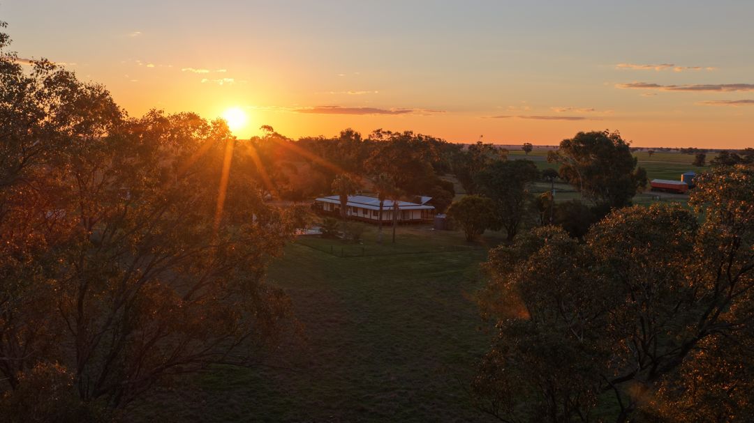 52 Cheecum Road, Moree NSW 2400