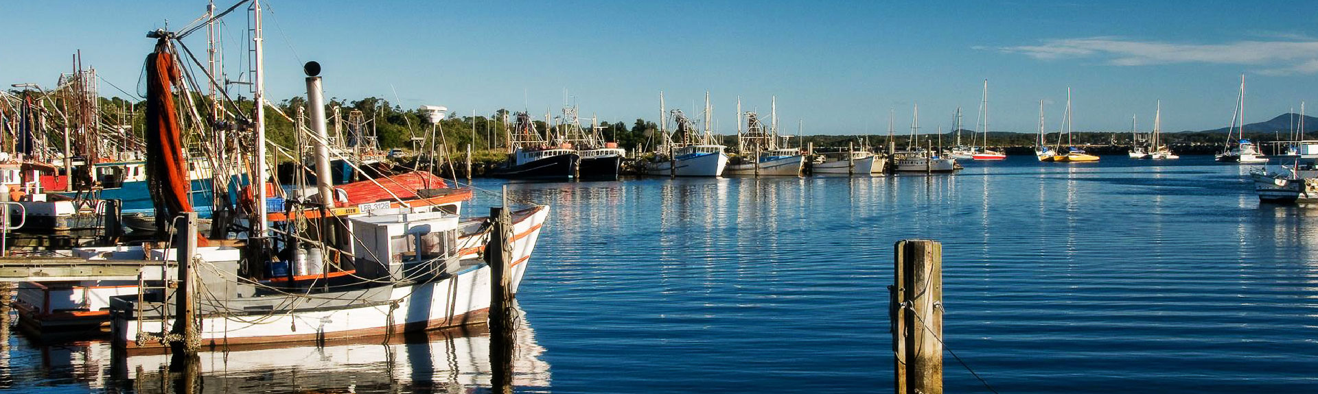 Iluka Real Estate