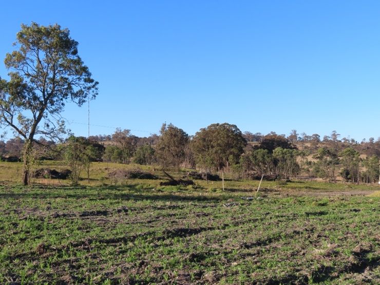 Property in Cottonvale - Sold