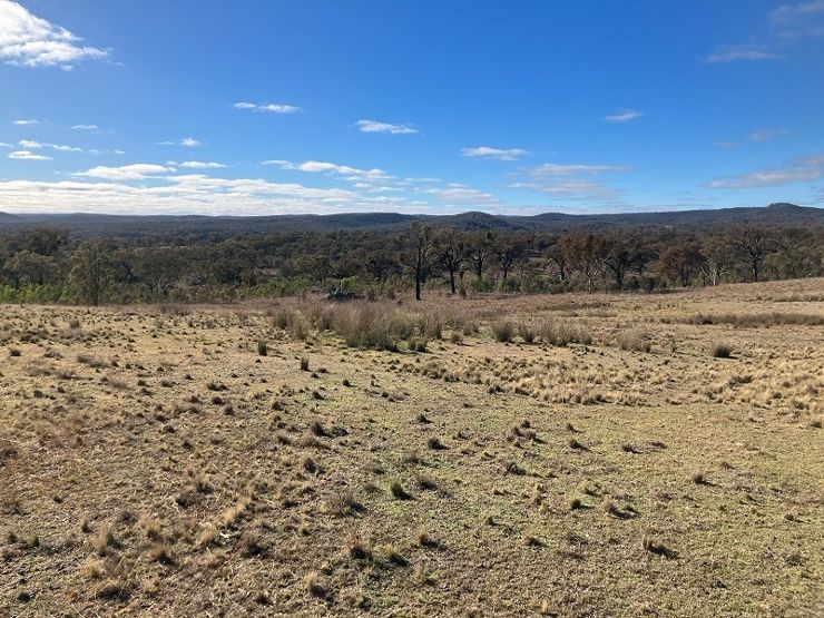 Property in Stanthorpe - $395,000