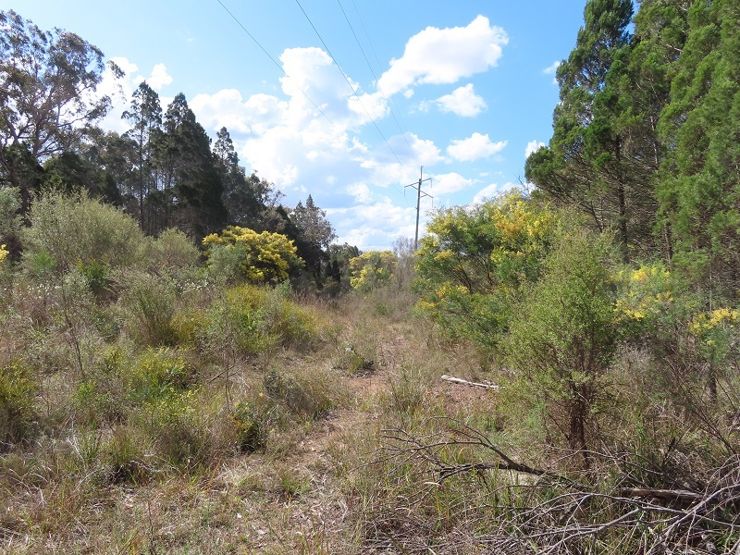 Property For Sale in The Summit