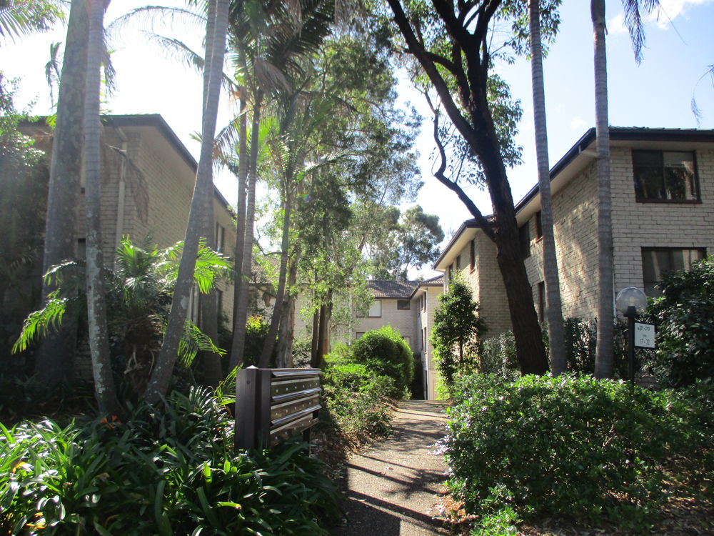 Property in Marsfield - Leased