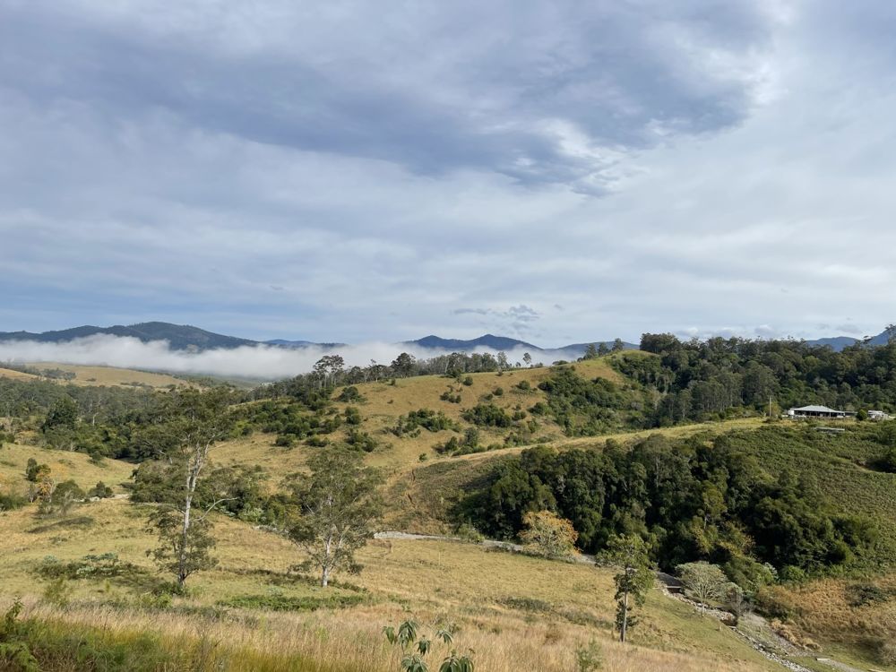 154 Inlet Road, Birdwood > Port Macquarie Hastings Rural Sales