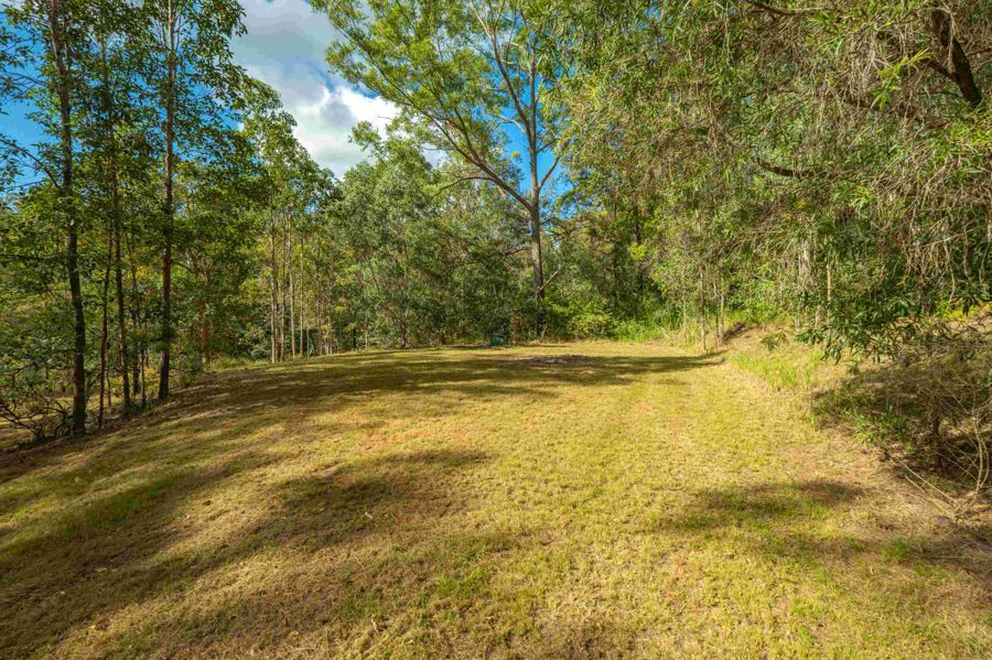 579 Woondum Road, Mothar Mountain For Sale by Farmbuy.com - image 12