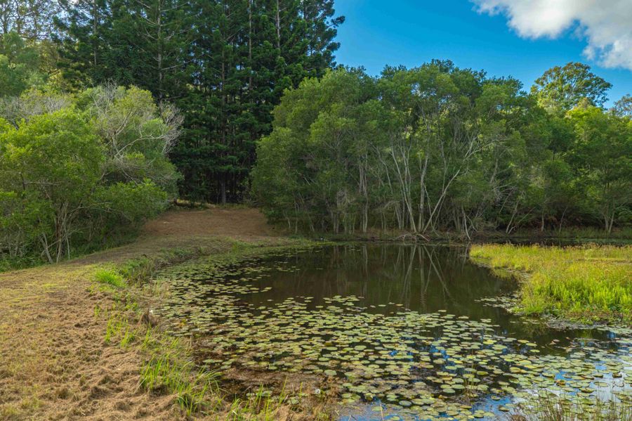 579 Woondum Road, Mothar Mountain For Sale by Farmbuy.com - image 15