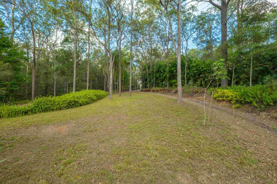 579 Woondum Road, Mothar Mountain For Sale by Farmbuy.com - image 23