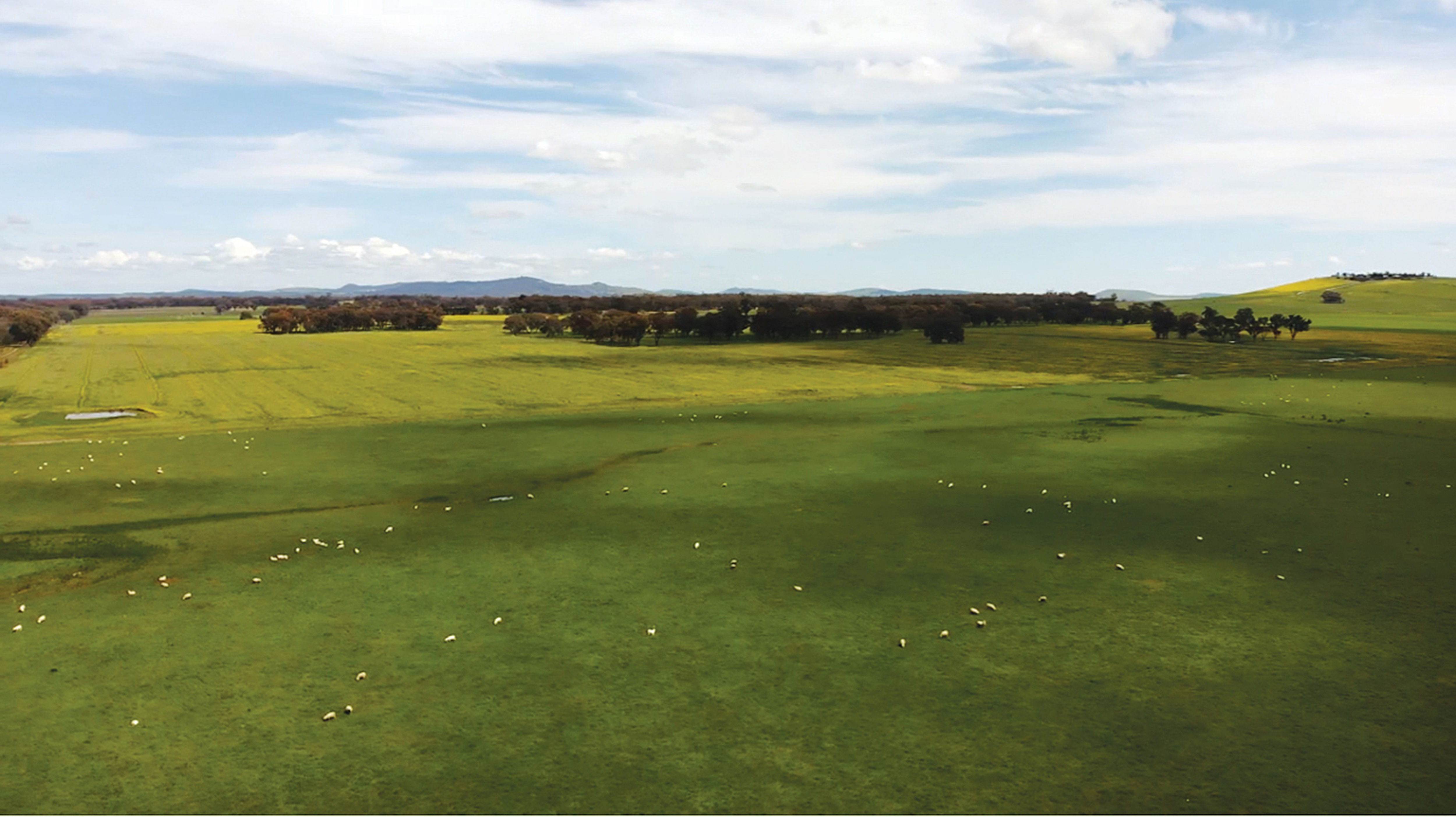 82 Weathersons Road, Mount Glasgow > HF Richardson Livestock & Property