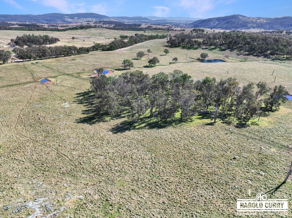 Property For Sale in Tenterfield