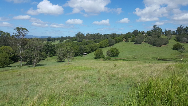 Lot 13 Winterleigh Way, Greens Creek