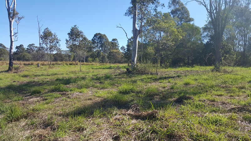 Lot 18 Curry Court, The Palms