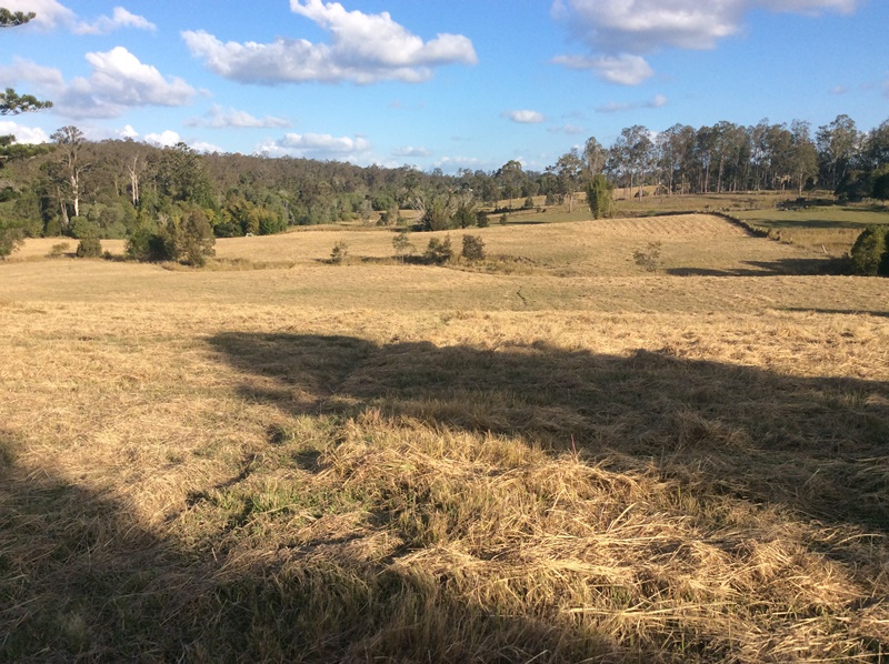 Lot 3/85 Turnbull Road, Corella