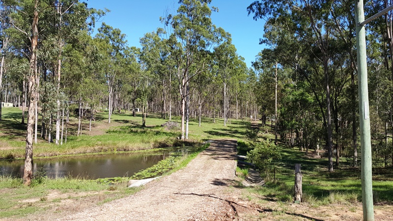 Lot 79 Cliff Jones Road, Curra