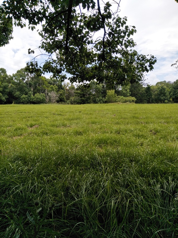 518 North deep Creek Road, North Deep Creek