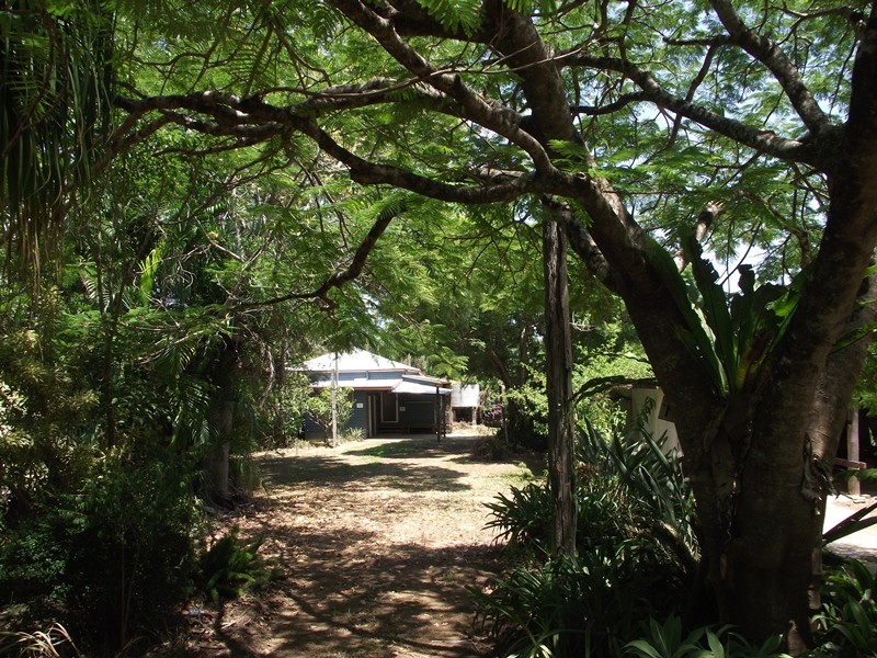 61 Window Road, Canina