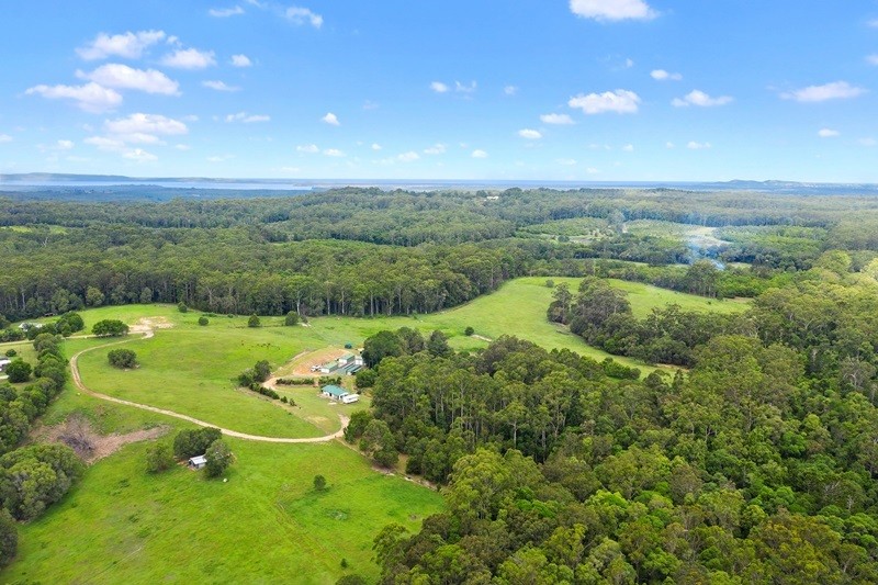 50 Firewheel Road, Ringtail Creek