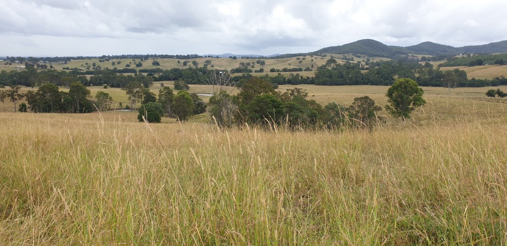 813 Noosa Road, Mothar Mountain