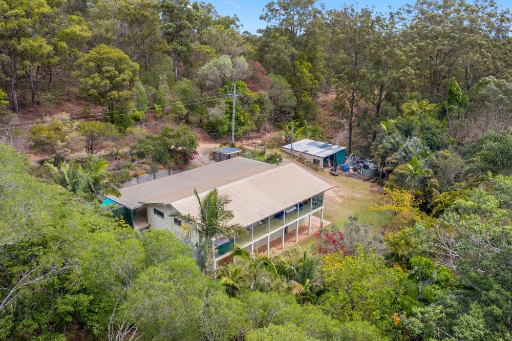 77 Steele Road, Canina
