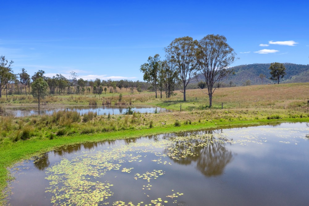 0 Edwards Road, Woolooga