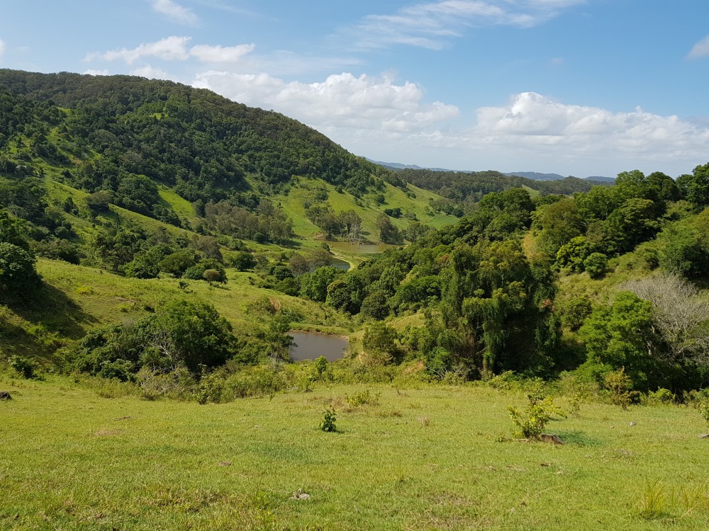 92 Gap Road, Cedar Pocket