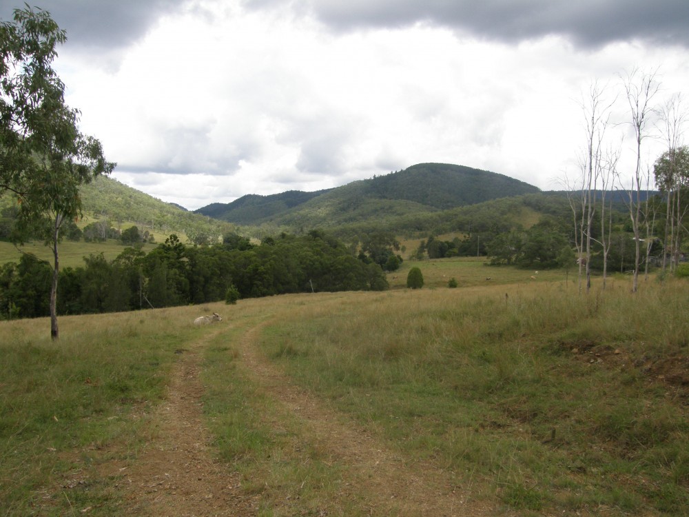 Woolooga