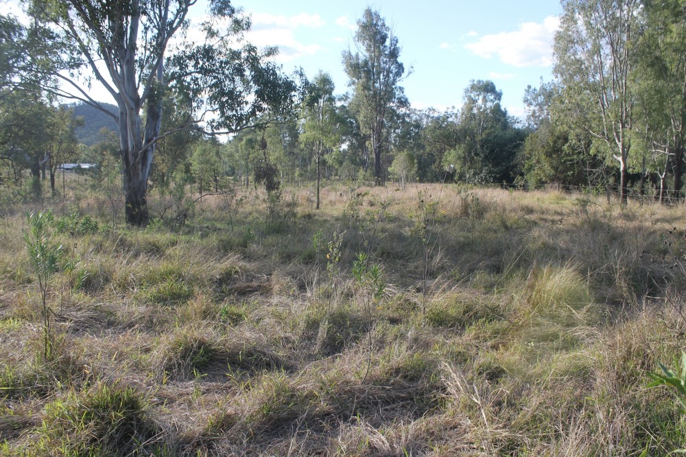 Lot 6 Rossmore Road, Black Snake