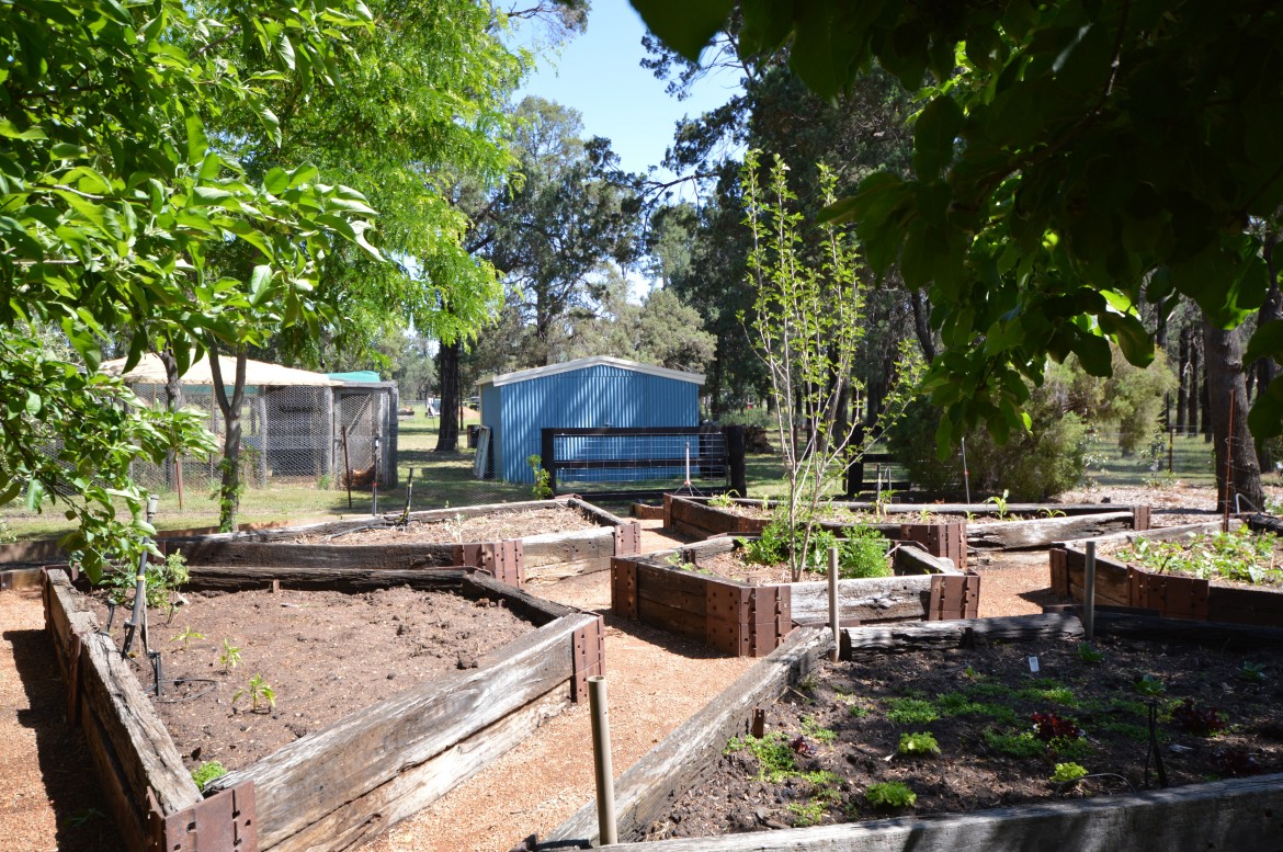 Image 22 - Real Estate in Dubbo