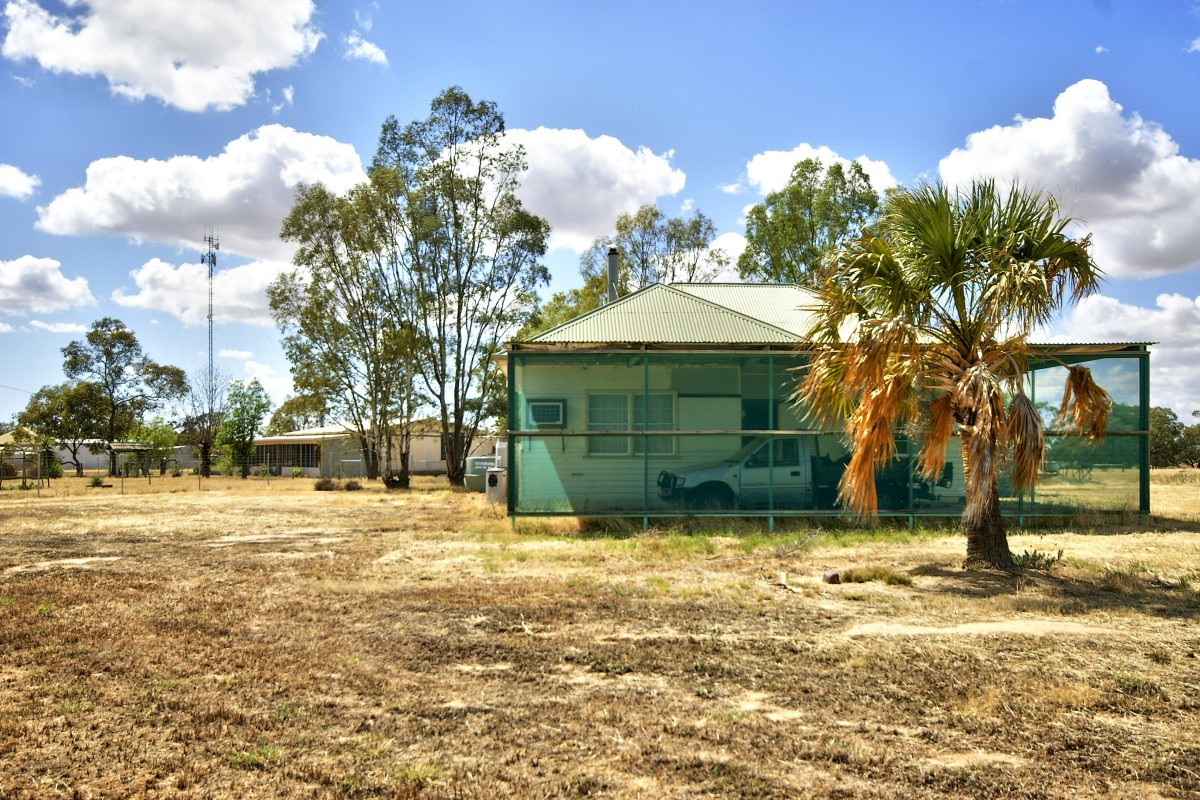 12 McKenzie St, Conargo - Thumbnail 2