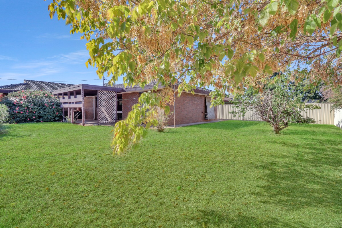 13 Watson Crt, Deniliquin - Thumbnail 3