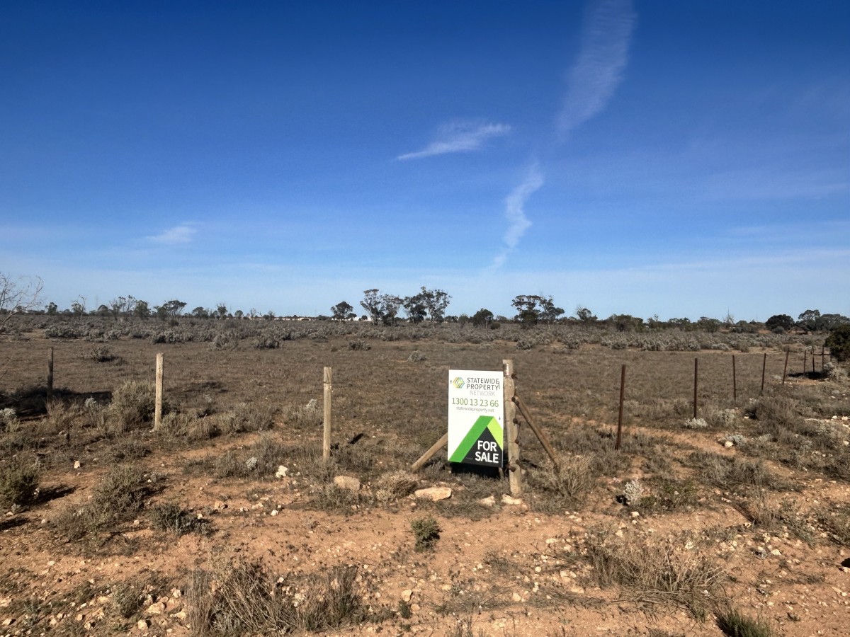 Section 64 Cemetery Road, Morgan, Morgan - Thumbnail 2