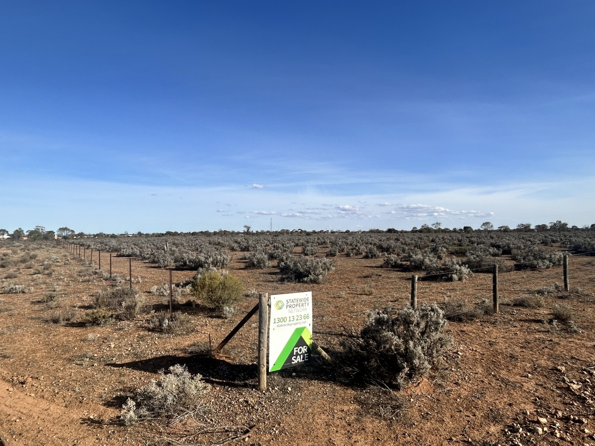 Section 65 Goyder Highway, Morgan, Morgan - Thumbnail 2