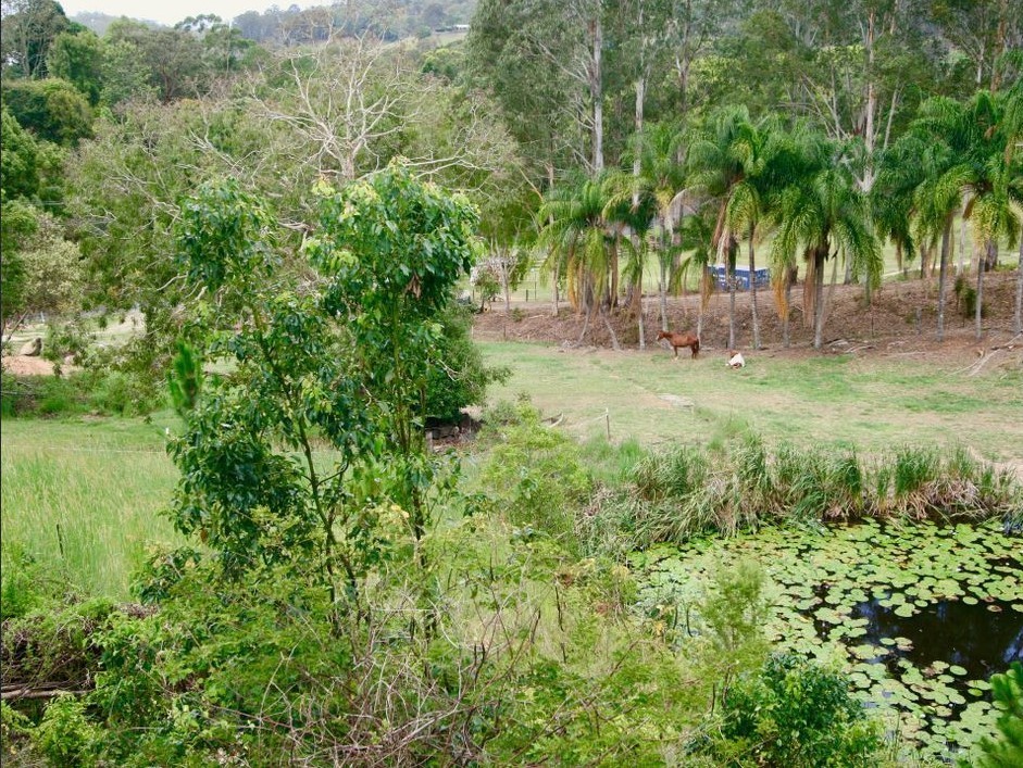 45 Green Valley Way, Piggabeen, Piggabeen - Thumbnail 3