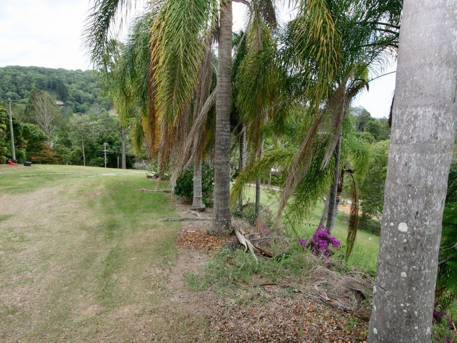 45 Green Valley Way, Piggabeen, Piggabeen - Thumbnail 4