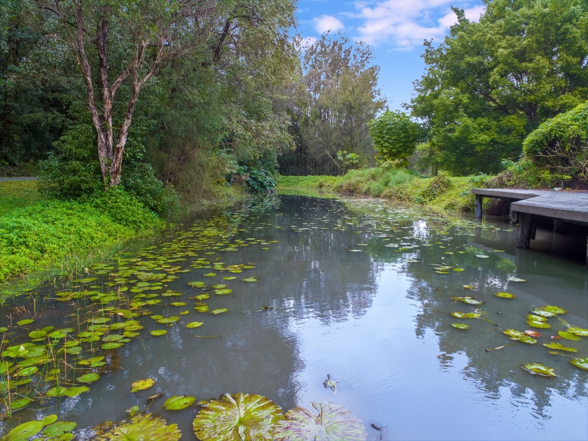 377 Piggabeen Road, Cobaki Lakes, Cobaki Lakes - Thumbnail 5