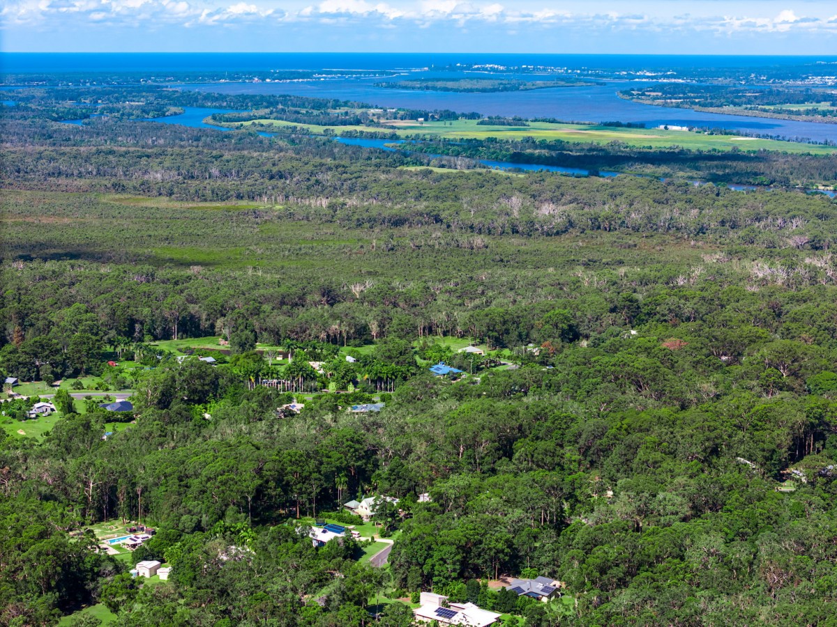 Image 11