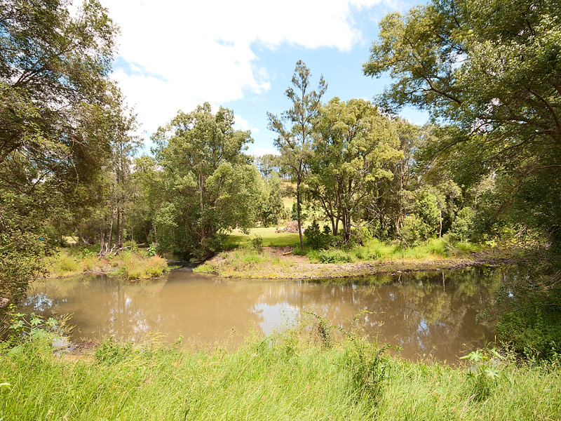 Lot 127 Boormans Road, Tyalgum - Thumbnail 2