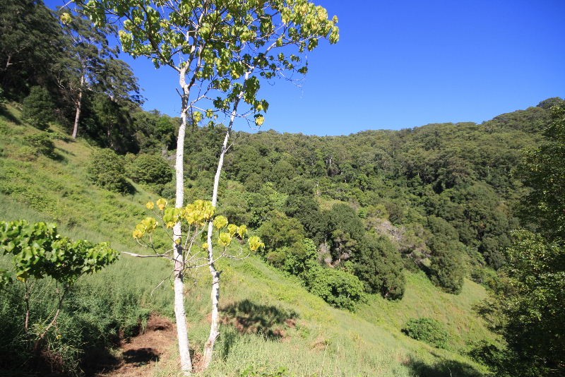 Adcocks Road, Stokers Siding - Thumbnail 5