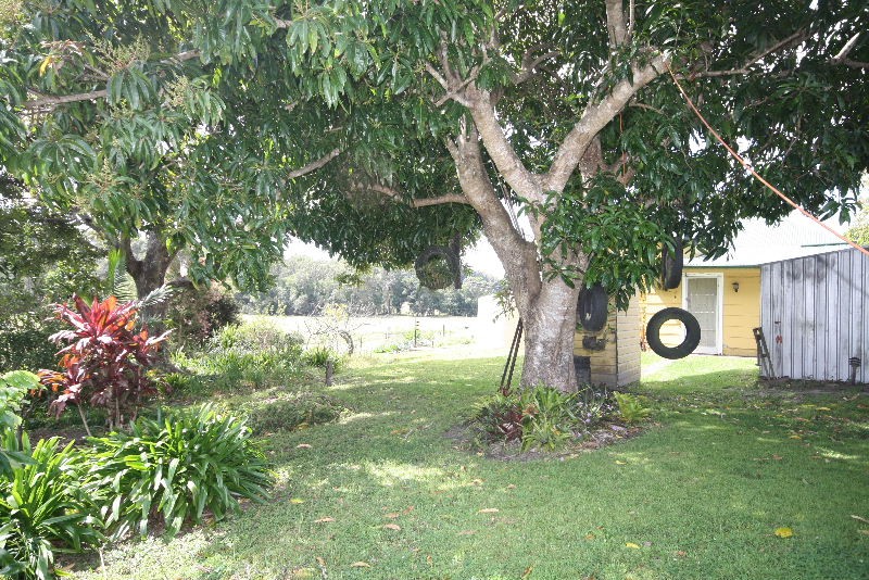 Murwillumbah, Murwillumbah - Thumbnail 3