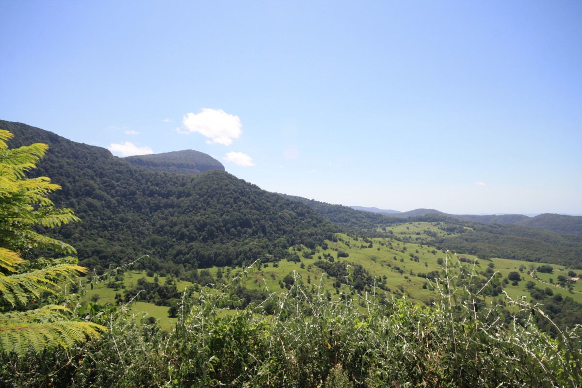 Lot 1 Numinbah Road, Kynnumboon - Thumbnail 2