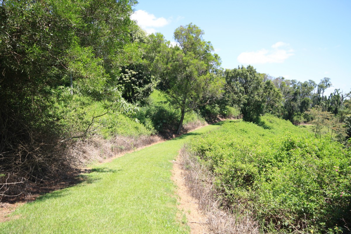 Lot 1 Numinbah Road, Kynnumboon - Thumbnail 3