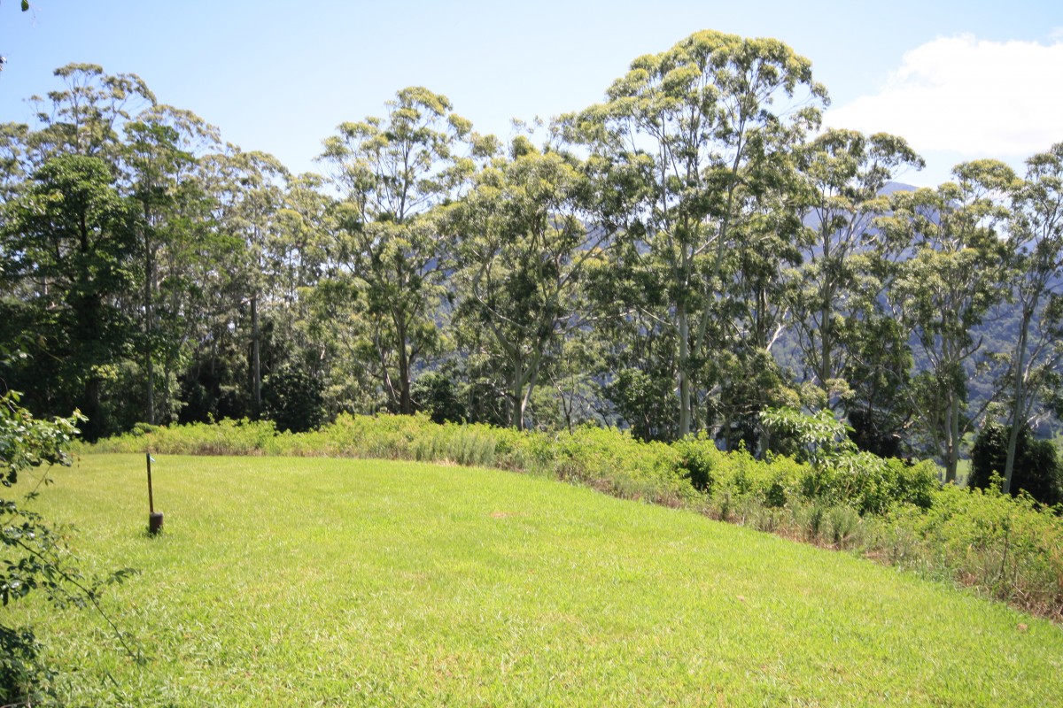 Lot 1 Numinbah Road, Kynnumboon - Thumbnail 4