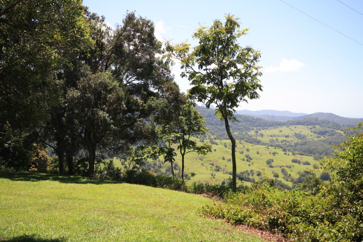 Lot 1 Numinbah Road, Kynnumboon - Thumbnail 5