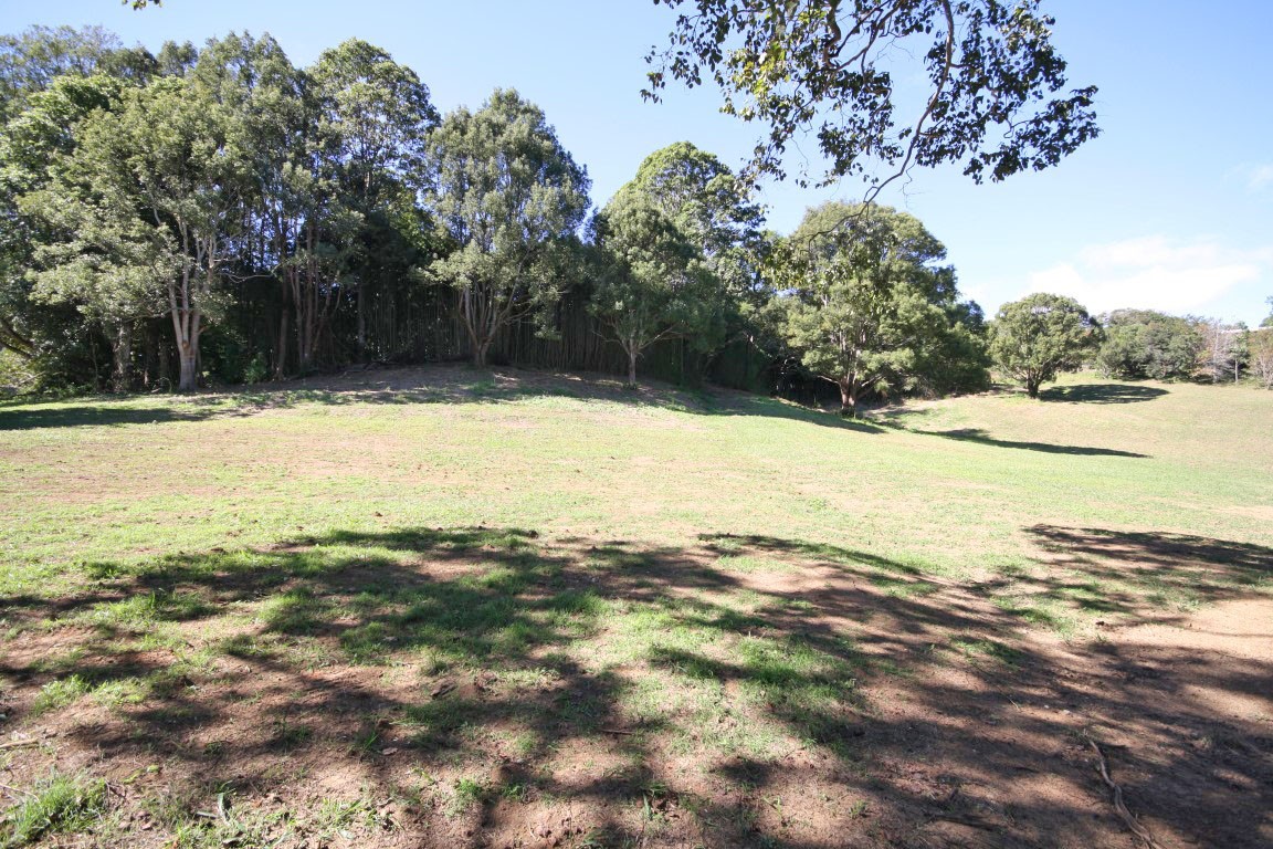 1462 Numinbah Road, Chillingham - Thumbnail 3