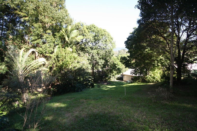 Murwillumbah, Murwillumbah - Thumbnail 2