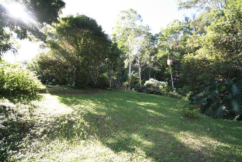 Murwillumbah, Murwillumbah - Thumbnail 3