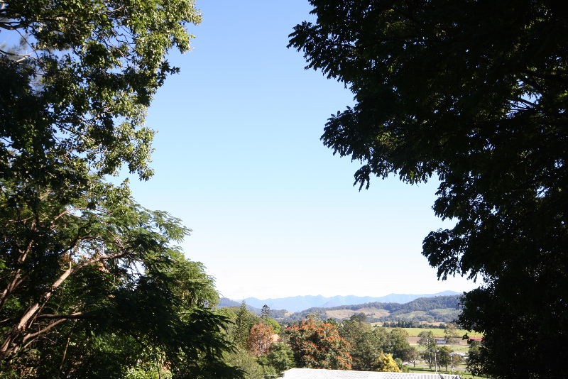 Murwillumbah, Murwillumbah - Thumbnail 4