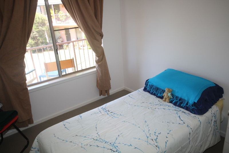 Murwillumbah, Murwillumbah - Thumbnail 4